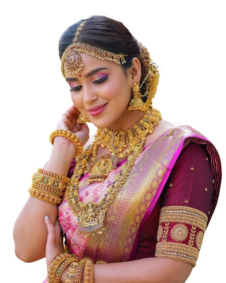 Flosive Ayn WomenS Present Banarasi Soft Lichi Silk Saree Beautiful Jacquard Rich Pallu Design Work Zari Woven Kanjivaram Silk