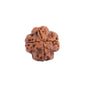 Astrotalk Nepal Origin 4 Mukhi Rudraksha | Boost Creativity & Intellectual Growth | Clarity, Confidence & Self-Expression | Sacred Rudraksha Bead for Women & Men