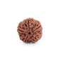 Astrotalk Nepal Origin 5 Mukhi Rudraksha | Elevate Spiritual Growth & Inner Peace | 108 Hours Energized by Top Astrologers | Clarity, Protection & Well-Being | Sacred Rudraksha Bead for Women & Men