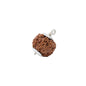Astrotalk Nepal Origin 7 Mukhi Rudraksha with 925 Silver-Capping | Attract Wealth & Prosperity | Financial Stability, Inner Peace & Spiritual Growth | Sacred Rudraksha Bead for Women & Men