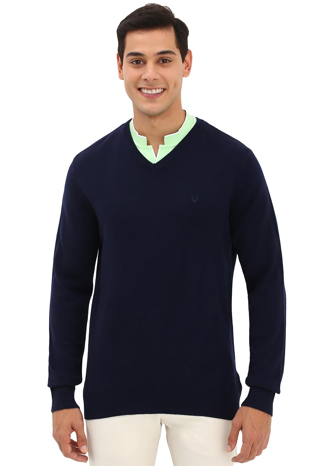 Allen Solly Men Regular Fit Solid Full Sleeve V Neck Pullover