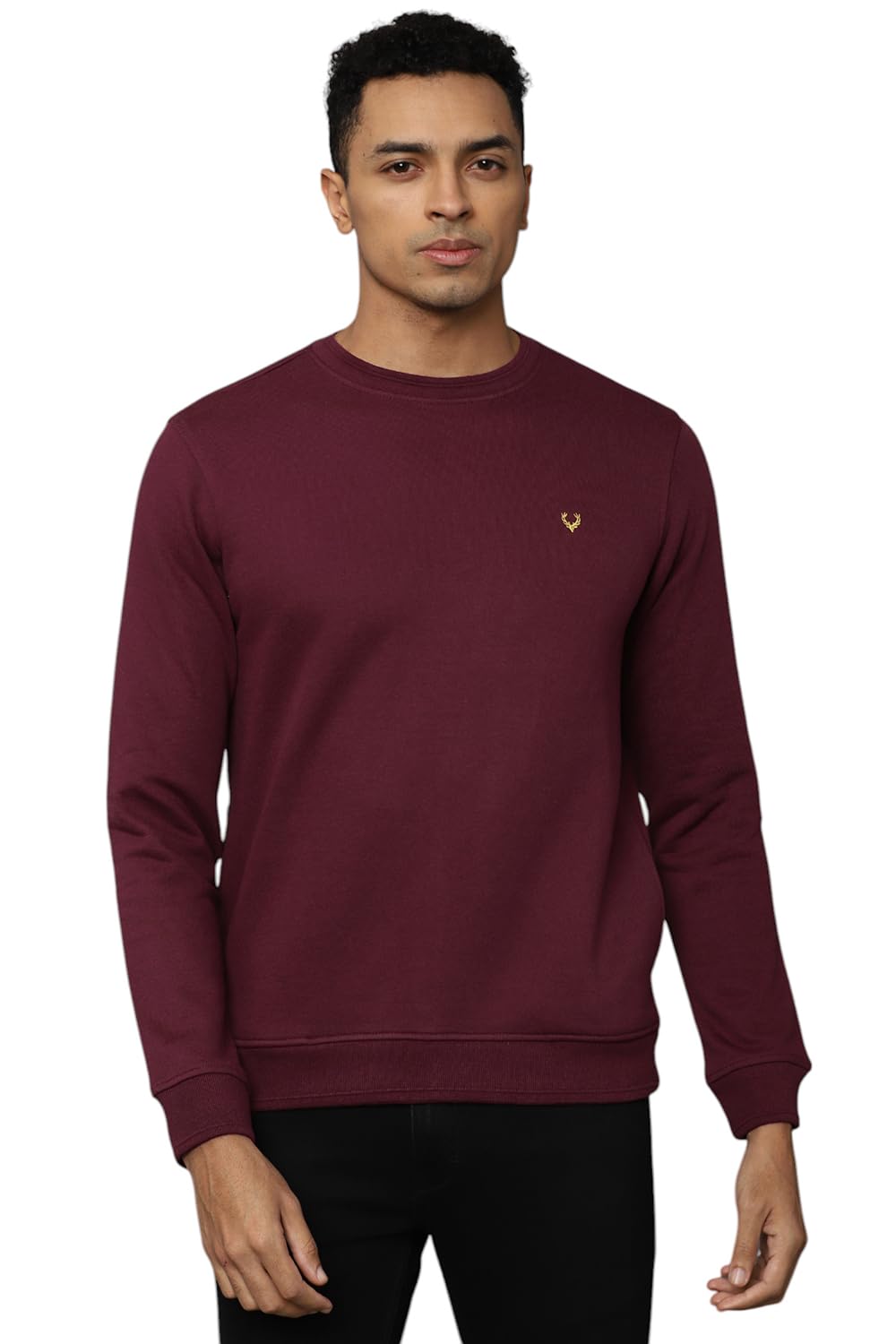 Allen Solly Men Regular Fit Solid Casual Full Sleeve Crew Neck T-Shirt