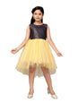 Aarika Girl's Polyester Skater Knee-Length Dress (FK-3005_Navy Blue-Fawn_22)