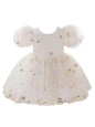 TAGAS Toddler Girls Ruffle Trim Bow Front Dress| Girls Dress | Party Dress for Girls |