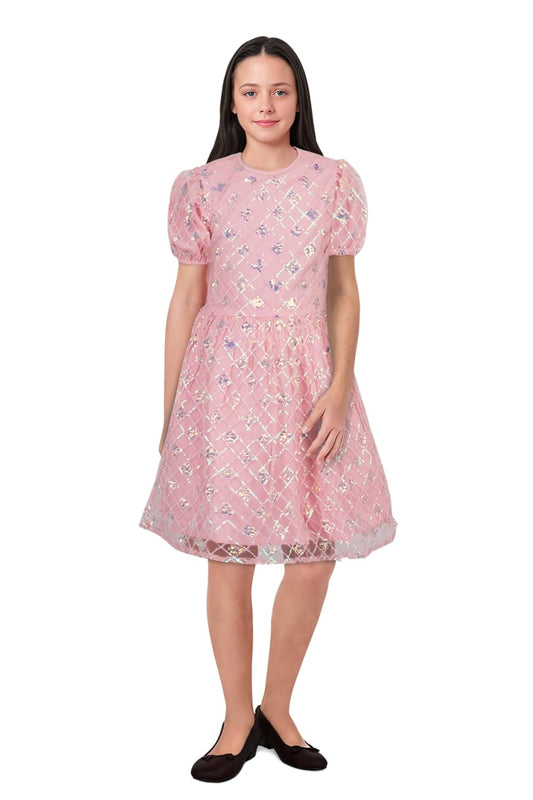 Allen Solly Women Polyester Dress
