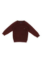 Allen Solly Boys Solid Round Neck Pullover
