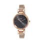 Titan Raga Viva Analog Grey Dial WomenS Watch Nm2608Wm02/Nn2608Wm02/Np2608Wm02