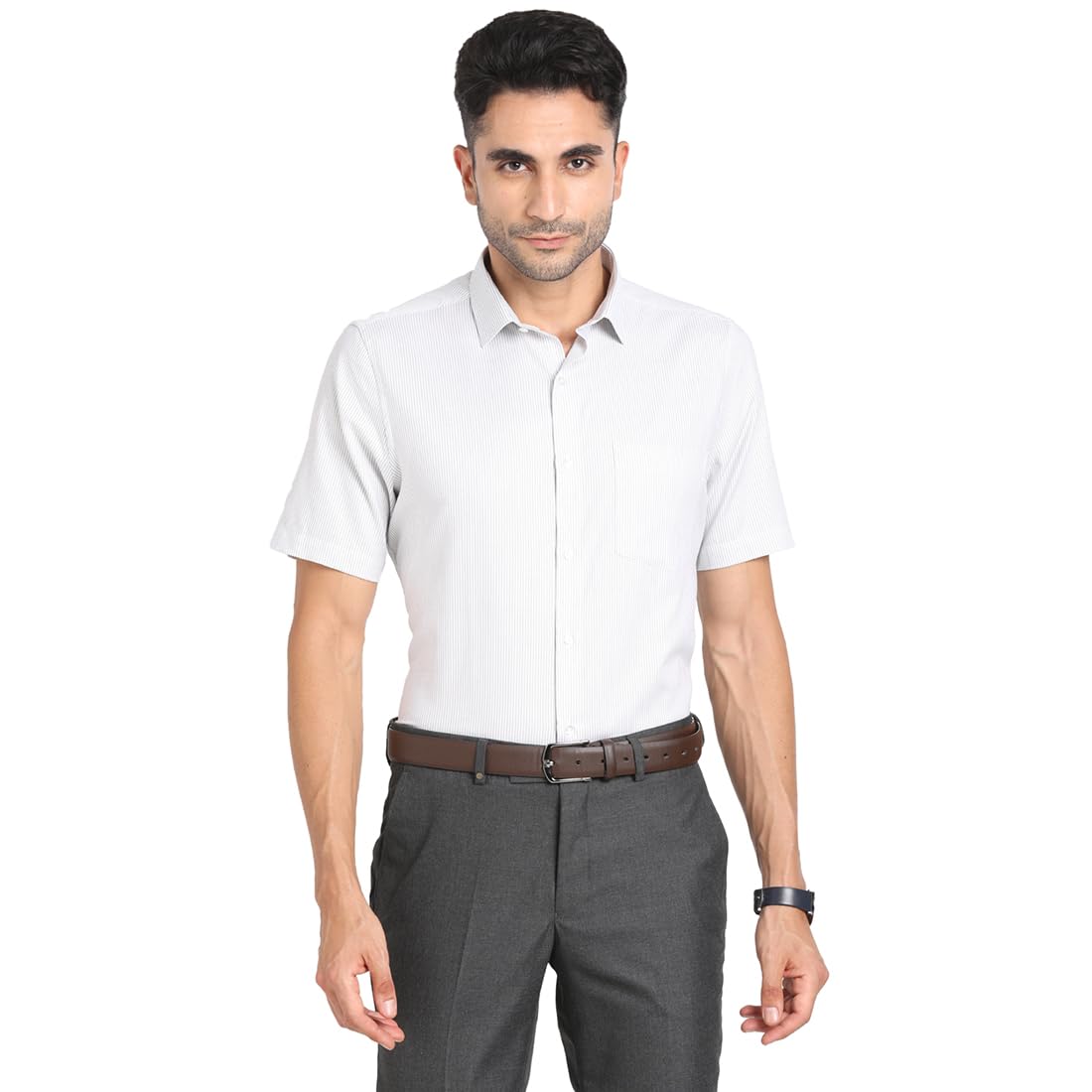 Turtle Men Regular Fit Stripes Grey Giza Cotton Formal Shirt
