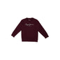 Pepe Jeans BoyS Regular Fit T-Shirt (Pb503827_Burgundy Red