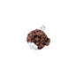 Astrotalk Ganesh Mukhi Rudraksha with Silver-Capping | Remove Obstacles & Unlock Success | Wisdom, Protection & Confidence | Sacred Rudraksha Bead for Women & Men