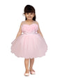 Aarika Girl's Fit And Flare Knee Length Dress Pink 5 Years-6 Years