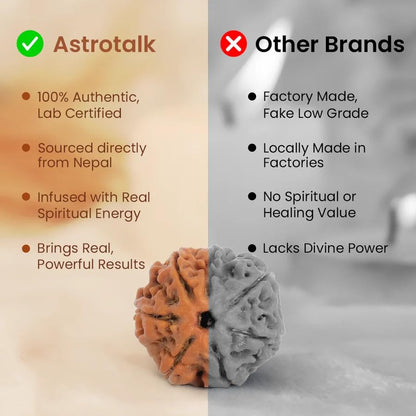 Astrotalk Nepal Origin 5 Mukhi Rudraksha | Elevate Spiritual Growth & Inner Peace | 108 Hours Energized by Top Astrologers | Clarity, Protection & Well-Being | Sacred Rudraksha Bead for Women & Men