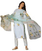 GoSriKi Women's Cotton Blend Straight Printed Kurta with Pant & Dupatta (Taral