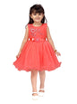 Aarika Baby-GirlS Net A-Line Knee-Long Dress (Fk-24314-Gajri-16)