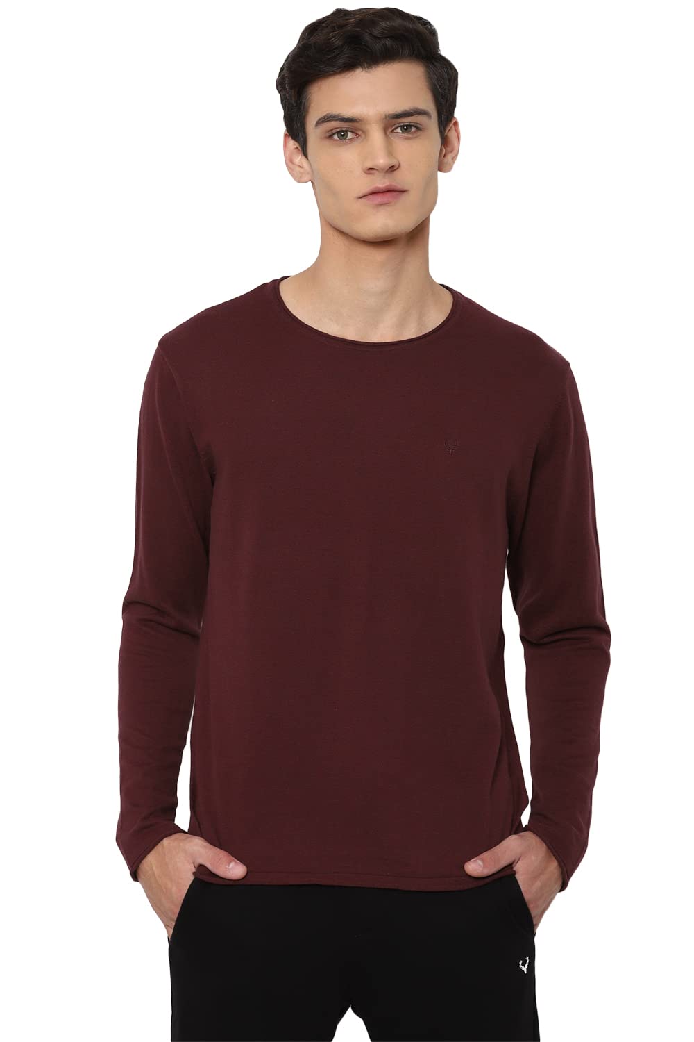 Allen Solly Men Regular Fit Solid Casual Cotton Crew Neck Pullover