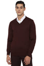 Allen Solly Men Casual Pullover