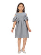 Aarika GirlS Cotton Blend A-Line 3-4 Years Dress (Nv-Md-21927_Grey