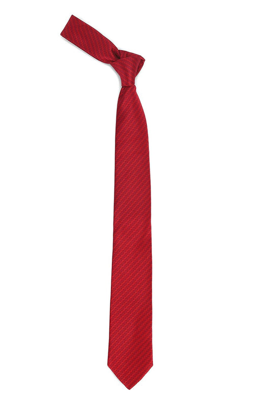 Allen Solly Men Formal Tie