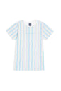 Allen Solly Boys Regular Fit Striped Casual Cotton Half Sleeve T-Shirt