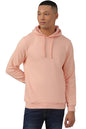 Allen Solly Men Regular Fit Printed Formal Full Sleeve Hooded T-Shirt