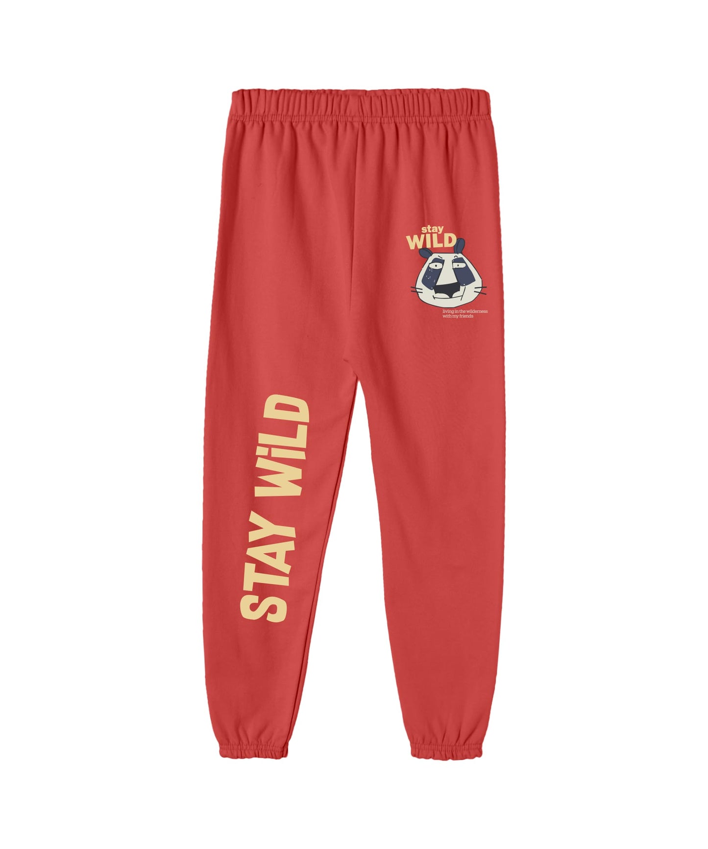 SHODOX Cotton Blend Regular fit Printed Multicolor Track Pants for Boys (Pack of 3)