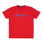 Pepe Jeans BoyS Regular Fit T-Shirt (Pb50362425516_Classic Red