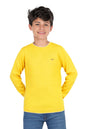 Allen Solly Boys Regular Fit Solid Casual Cotton Pullover