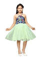 Aarika Girl's Nylon Skater Knee-Length Dress (MD-22133_Green_24)