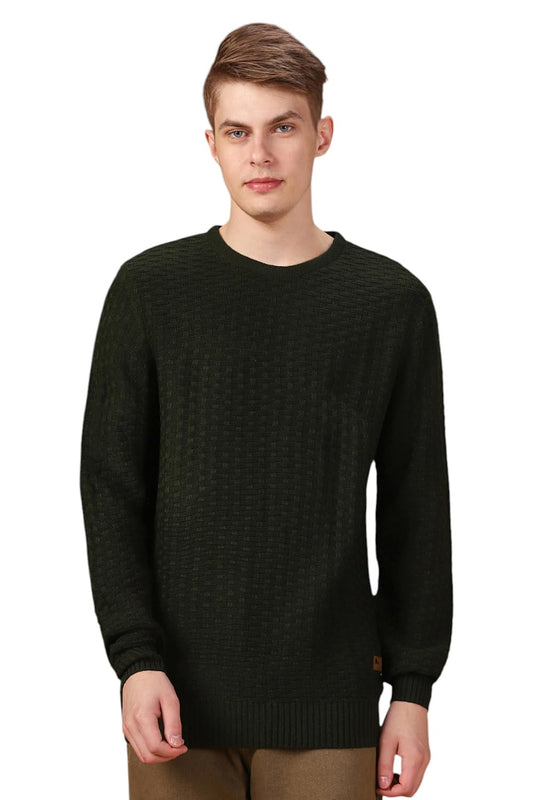 Dennis Lingo Men Solid Acrylic Regular Fit Full Sleeves Pullover Sweater Olive