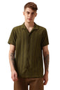 Dennis Lingo Men Olive Poly Seersucker Half Sleeve Shirt Collar Stripes Shirts