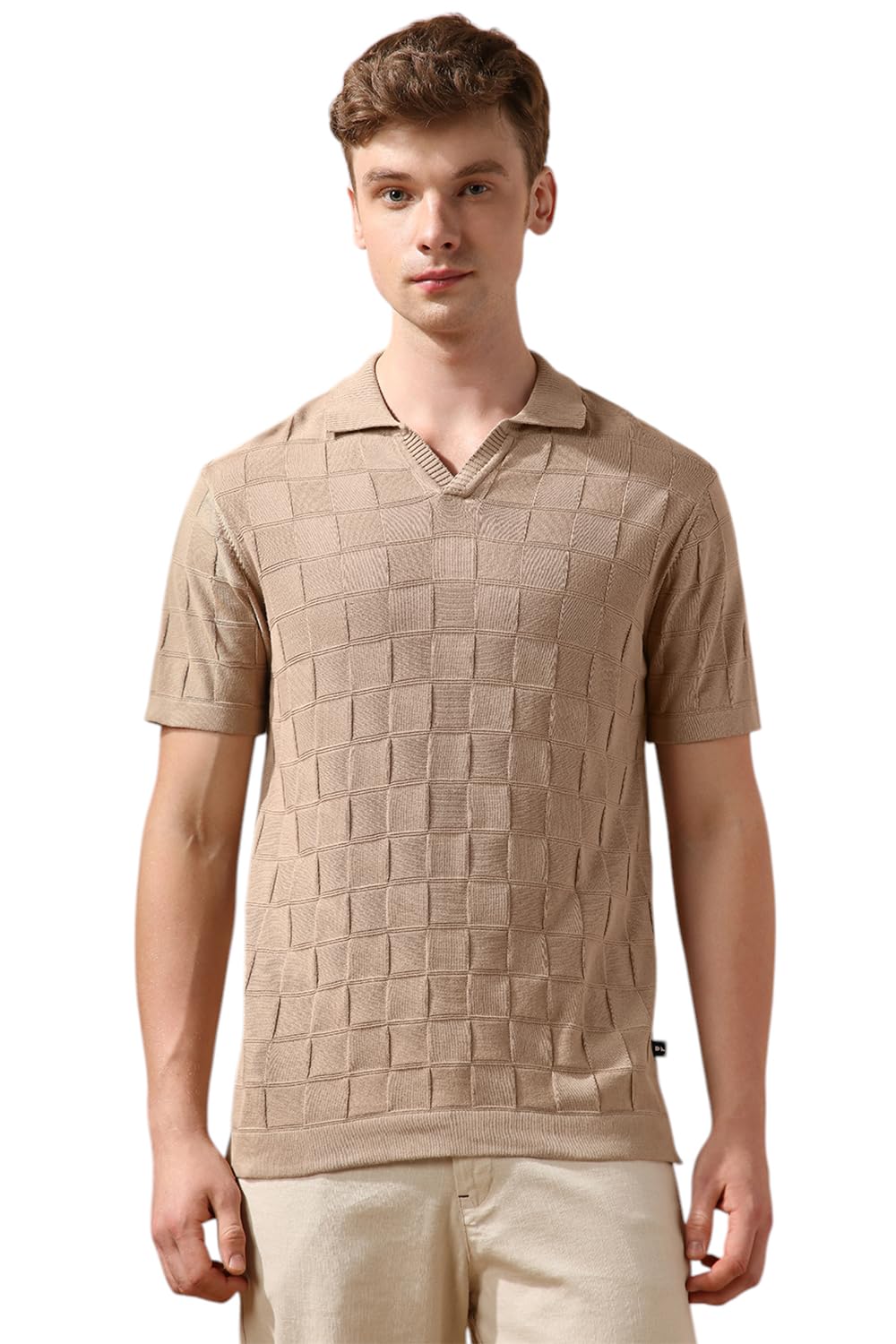 Dennis Lingo Men Beige Textured Half Sleeves Regular Fit T Shirts