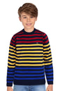 Allen Solly Boys Regular Fit Striped Pullover
