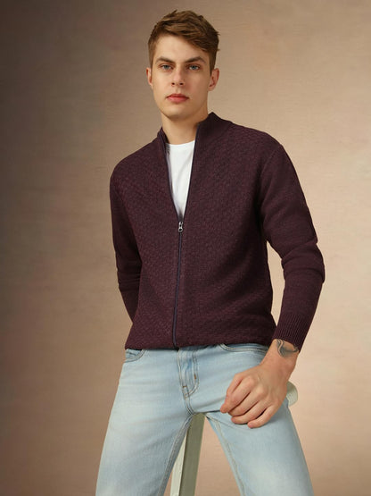 Dennis Lingo Men Purple Solid Slim Fit Full Sleeve Mock Collar Pullover Sweater