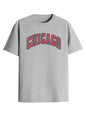 ADRO Mens T Shirt Urban Style Tshirt Printed with Chicago Design Cotton & Eye Catching Print Stylish T-Shirt for Men Grey Tshirt