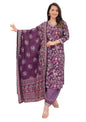 Nermosa Women Embroidery and Printed V-Neck Kurta and Pant Set with Dupatta