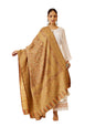 Pashmoda Women Rangrez Kaani Wool Blend Kashmiri Shawl, Stole, Scarf, Luxury Pashmina Evening Wrap (Size: 101 X 203 CM)