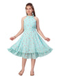 Aarika Girl's Georgette Skater Knee-Length Dress (MD-A-22550_Firozi