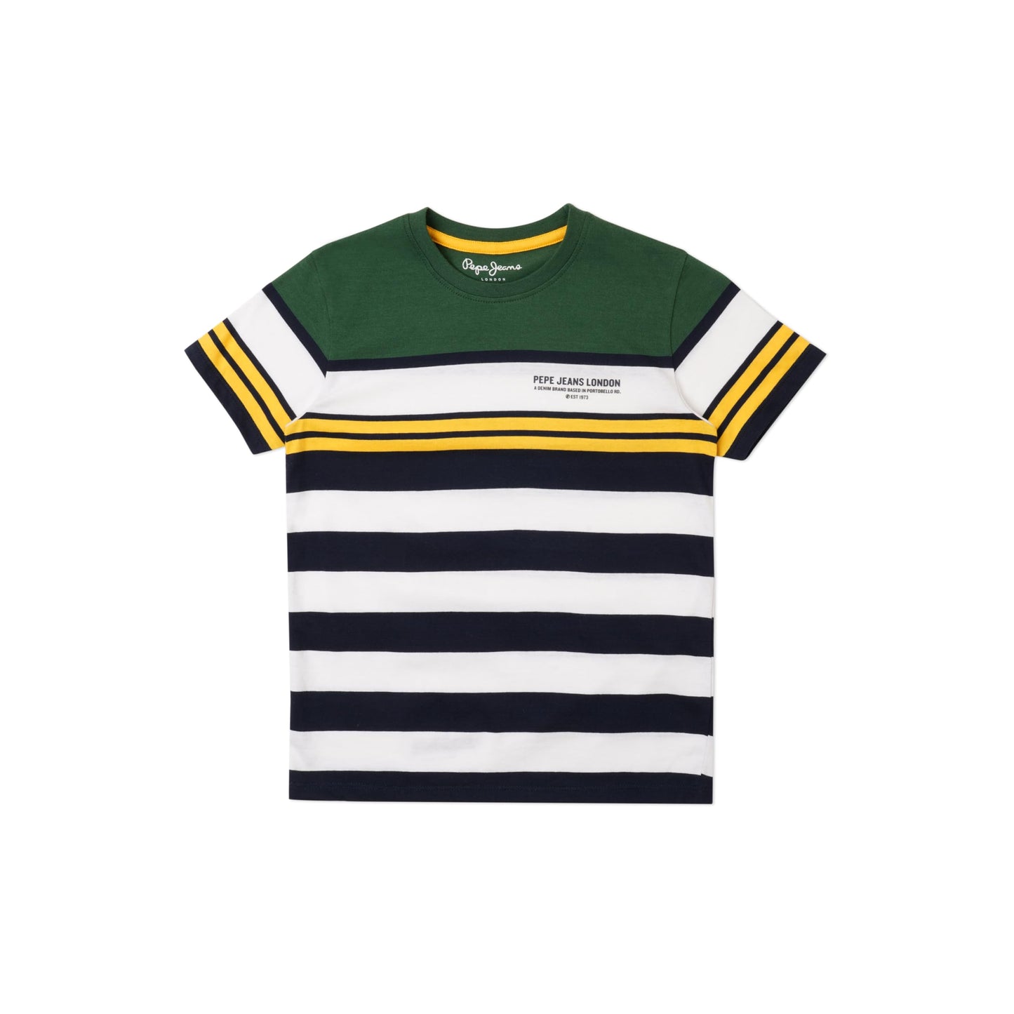 Pepe Jeans BoyS Regular Fit T-Shirt (Pb503807_Ivy Green_Multi