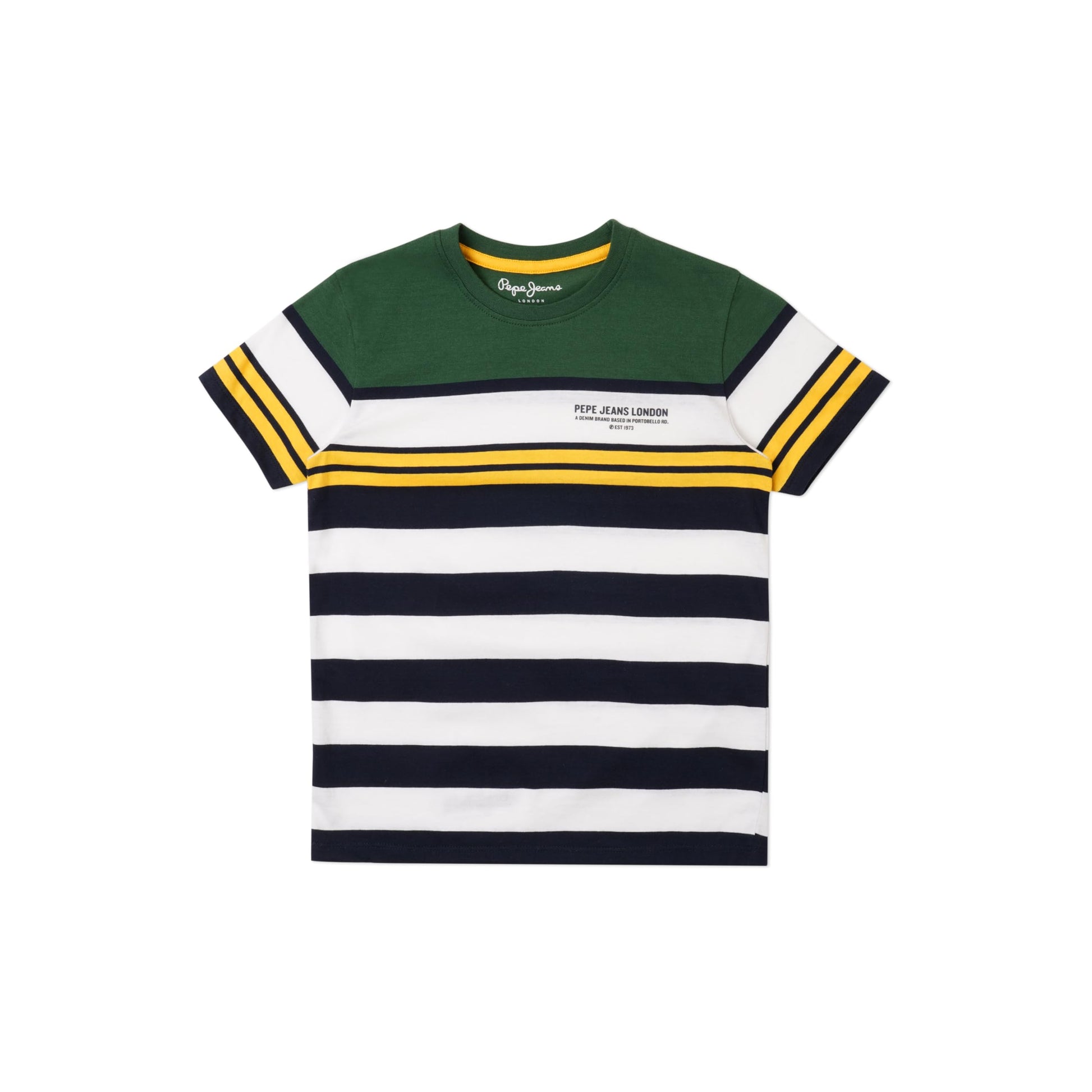 Pepe Jeans BoyS Regular Fit T-Shirt (Pb503807_Ivy Green_Multi