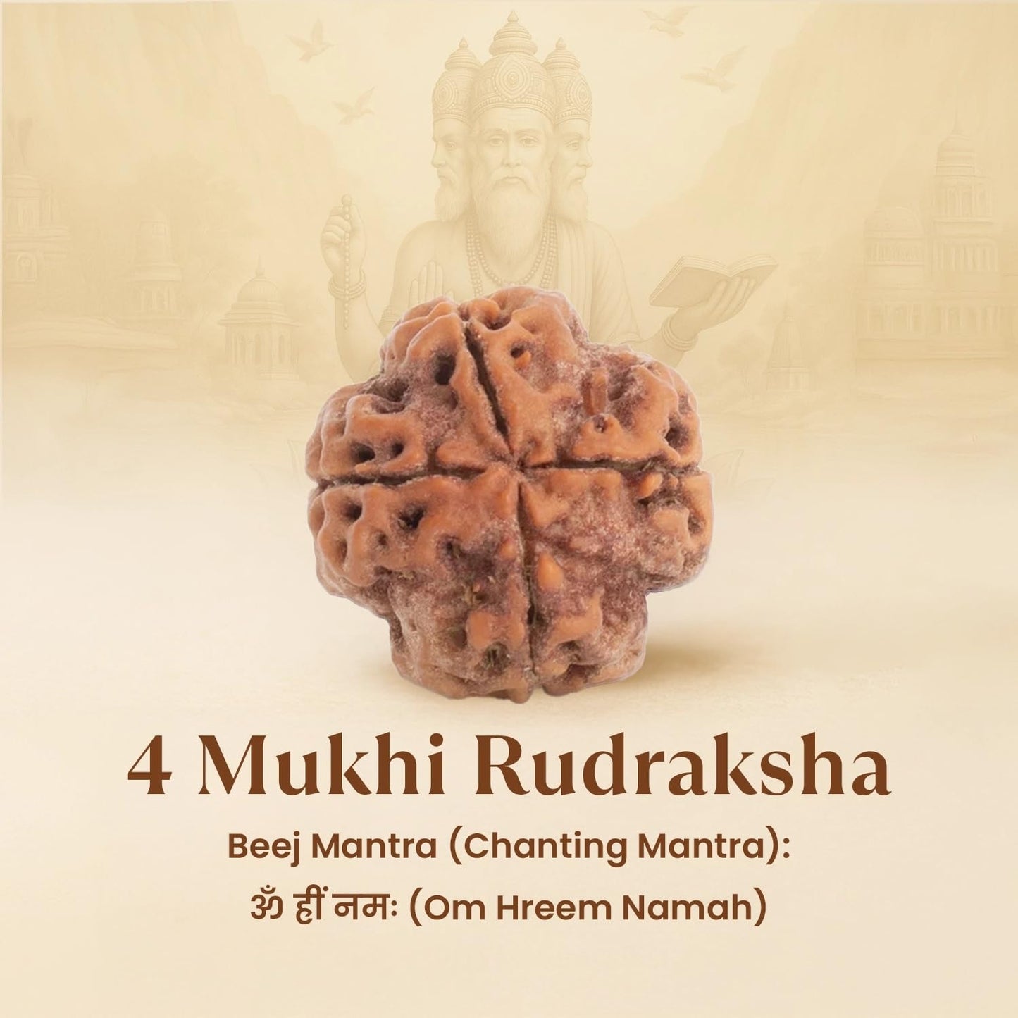 Astrotalk Nepal Origin 4 Mukhi Rudraksha | Boost Creativity & Intellectual Growth | Clarity, Confidence & Self-Expression | Sacred Rudraksha Bead for Women & Men