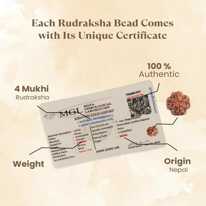 Astrotalk Nepal Origin 4 Mukhi Rudraksha | Boost Creativity & Intellectual Growth | Clarity, Confidence & Self-Expression | Sacred Rudraksha Bead for Women & Men