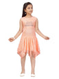 Aarika Girl's Net A-Line 1-2 Years Dress (NV-FK-20802_Peach