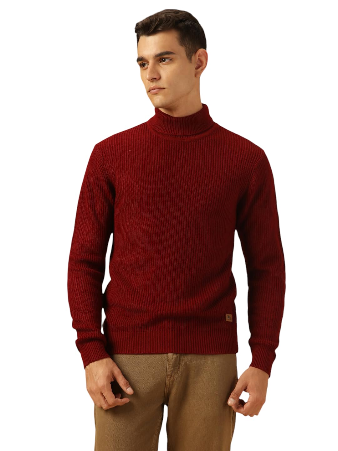 Dennis Lingo Men Regular Fit Acrylic Solid Full Sleeves Turtle Neck Pullover Sweater Maroon
