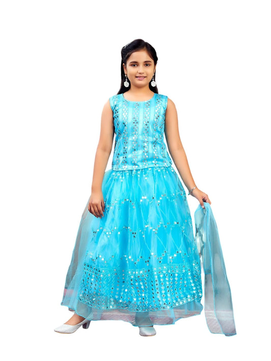 Aarika Girls Ethnic Wear Firozi Colour Sequin Embroidery Net Lehenga Choli Set (4-10 Years)