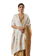 Pashmoda Women Nayab Kaani Wool Blend Stole (Size : 71X203 CM)
