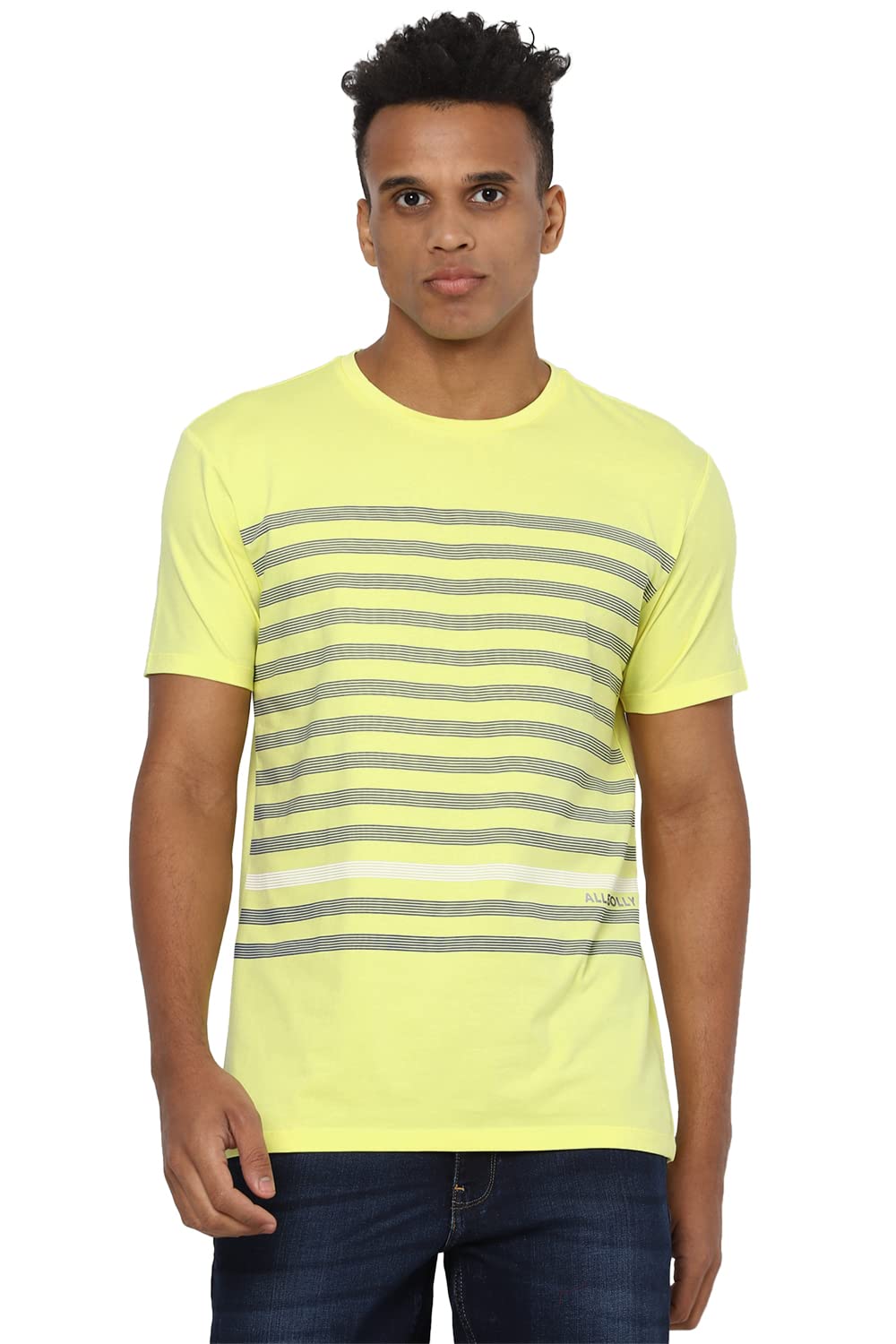 Allen Solly Men Striped Crew Neck T-Shirt