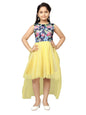 Aarika GirlS Nylon Skater Knee-Length Dress (Fk-A-22159_Yellow_24)