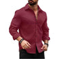 Deelmo MenS Regular Fit Checks Pattern Polyester Blend Shirt With Collared Neck Long Sleeve And Standard Length | Shirt For Man