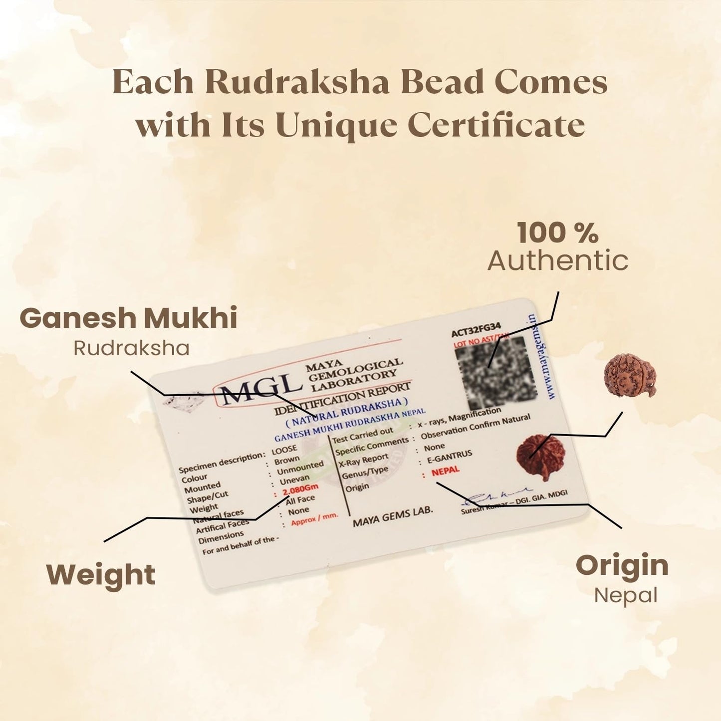 Astrotalk Ganesh Mukhi Rudraksha | Remove Obstacles & Unlock Success | 108 Hours Energized by Top Astrologers | Wisdom, Protection & Confidence | Sacred Rudraksha Bead for Women & Men