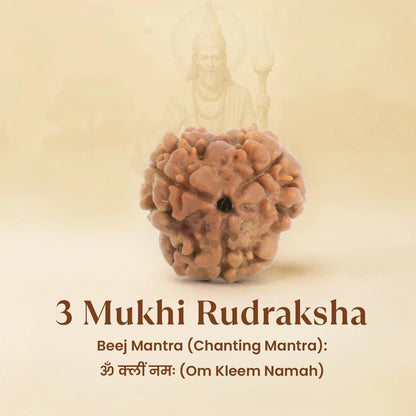 Astrotalk Nepal Origin 3 Mukhi Rudraksha | Ignite Self-Transformation & Confidence | Emotional Healing, Mental Clarity & Strength | Sacred Rudraksha Bead for Women & Men